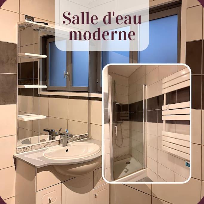 Appartement 2 Pieces Rdc En Duplex Vue Cour Parking Gratuit A 20Metres Roanne Exterior foto